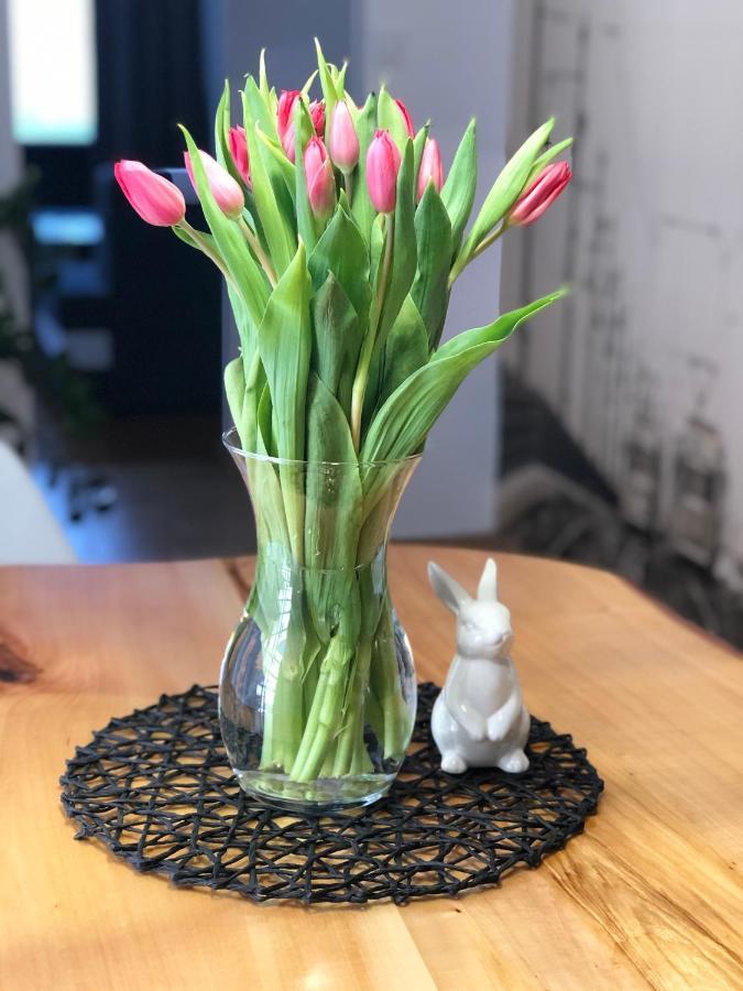 Apartament Loft Daire Bielsko-Biała Dış mekan fotoğraf
